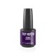Top Notch Iconic Colour Gel 228 Amethyst 14 Ml by Mesauda Milano